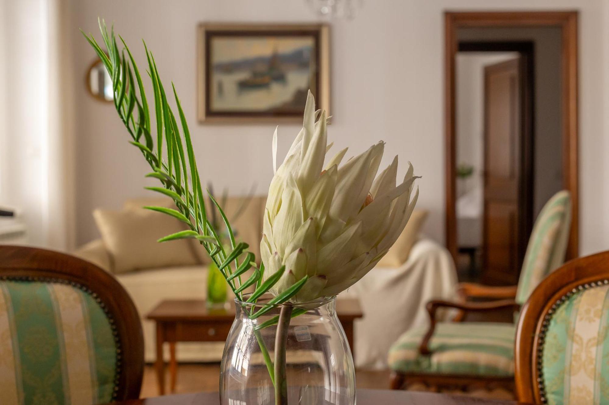 Iflat Vatican Spacious Apartment With Terrace Ρώμη Εξωτερικό φωτογραφία