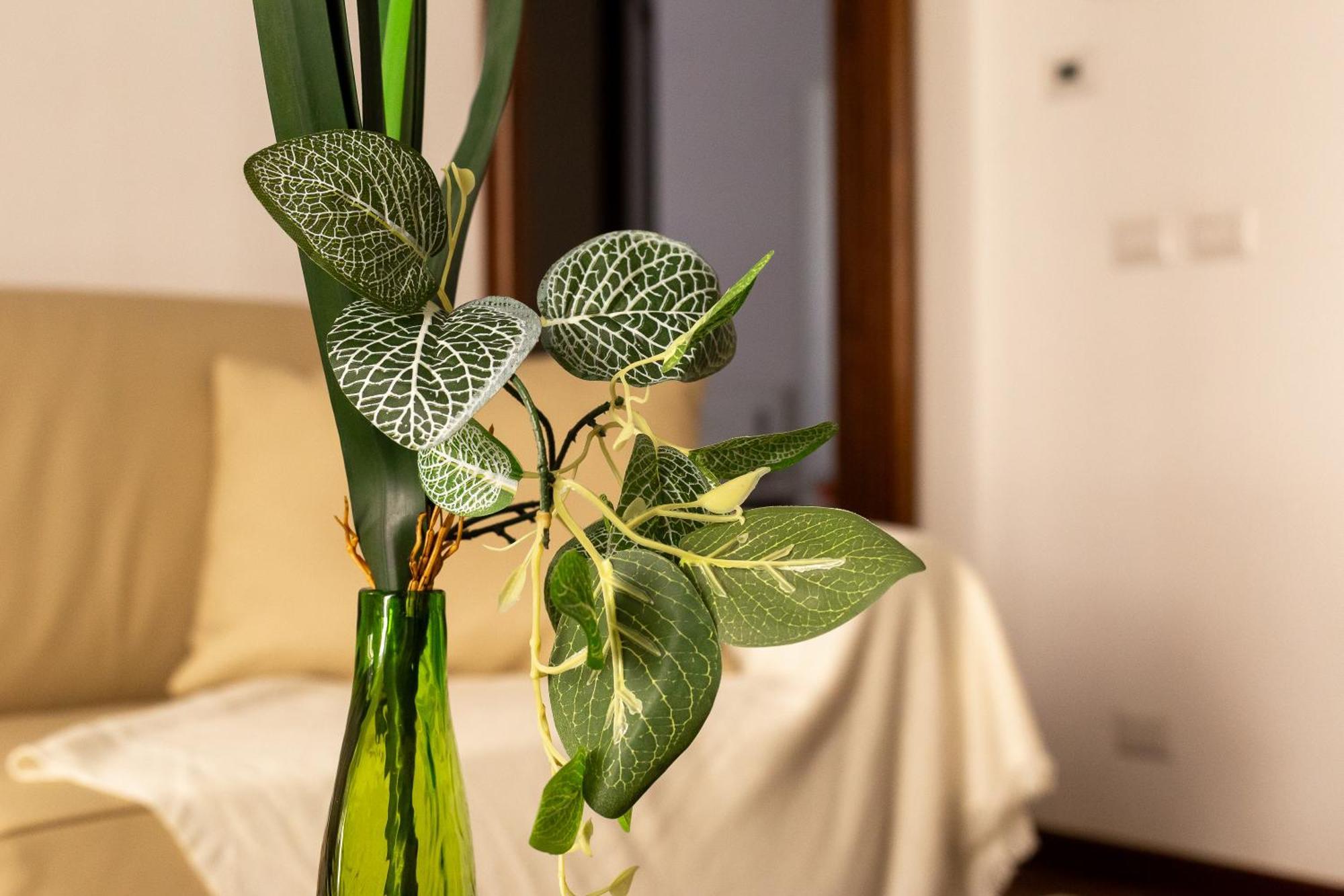 Iflat Vatican Spacious Apartment With Terrace Ρώμη Εξωτερικό φωτογραφία